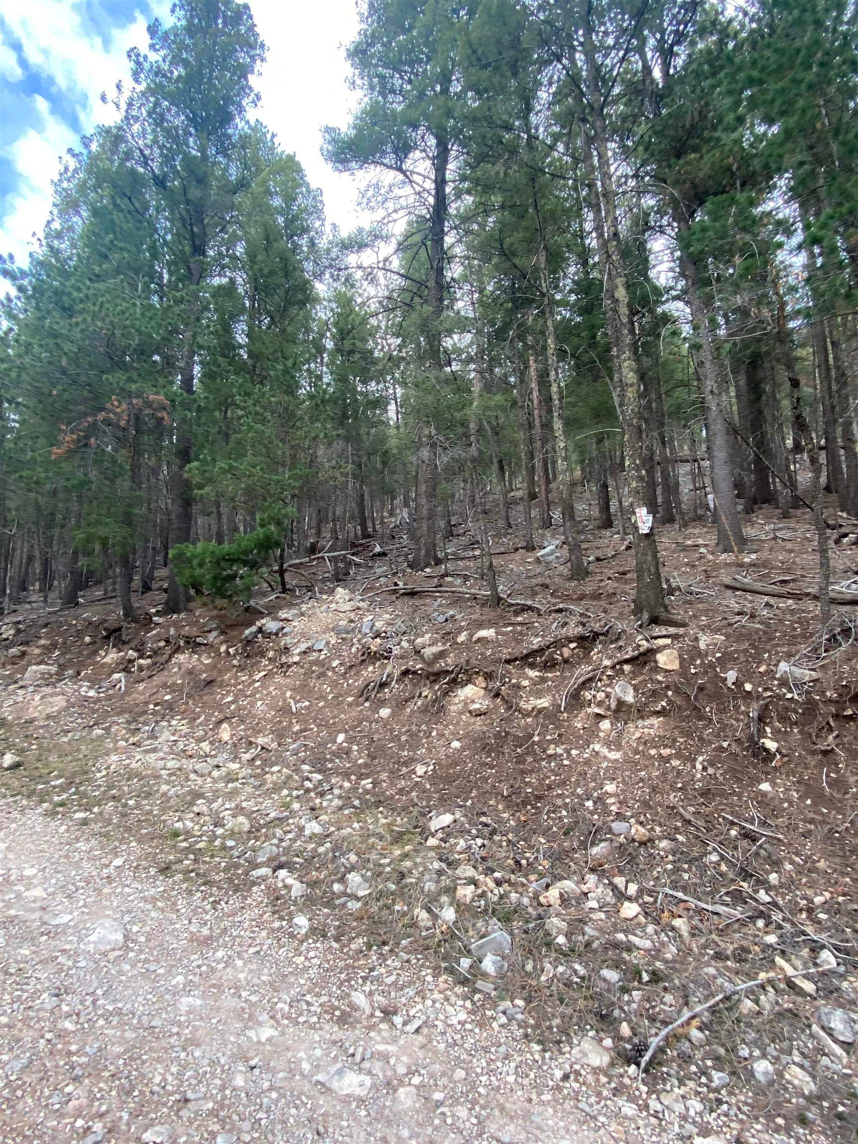 5 Forest View Road Cloudcroft, NM 88317 - Photo 3 of 4 Gallery Image 3
