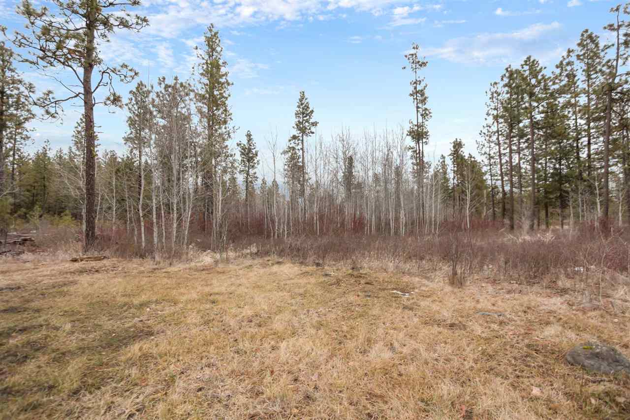 22105 South Ritchey Road Cheney, WA 99004 - Photo 19 of 20
