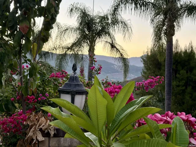 a large kitchen with kitchen island a large counter space a sink stainless steel appliances and cabinets