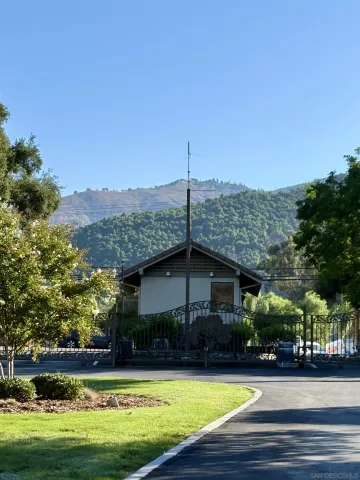 a backyard of a house with a tree