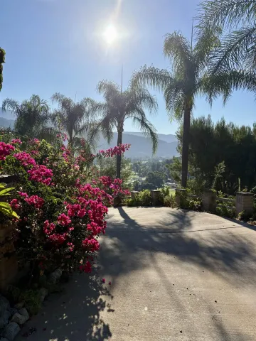 a view of a chairs and table in the patio