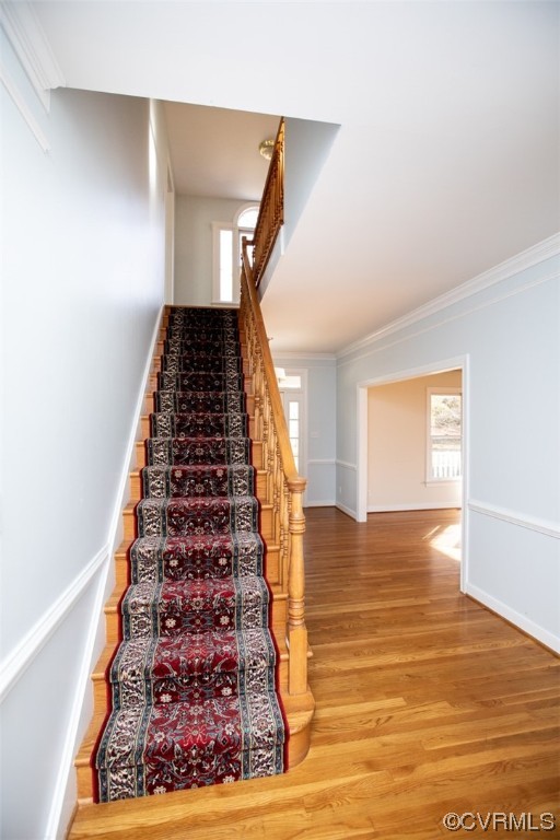 92 Ropp Road Farmville, VA 23901 - Photo 26 of 48 Staircase - 1st Floor