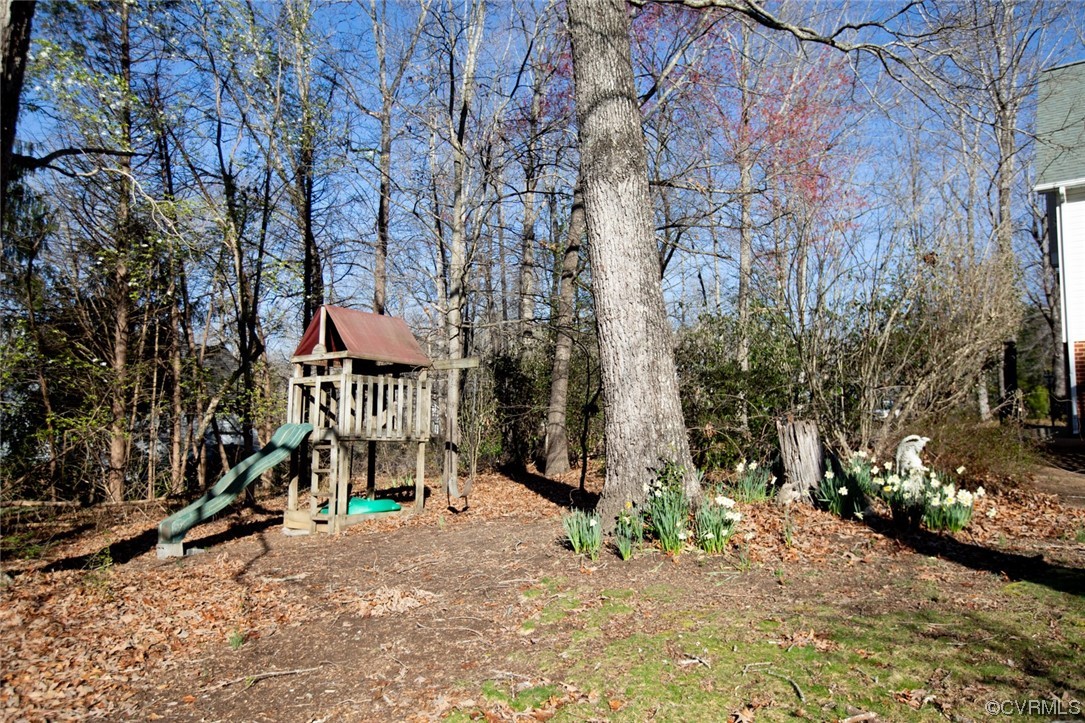 92 Ropp Road Farmville, VA 23901 - Photo 47 of 48 Yard