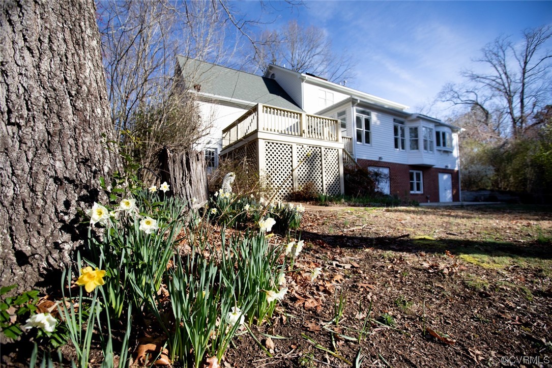 92 Ropp Road Farmville, VA 23901 - Photo 48 of 48 Rear View