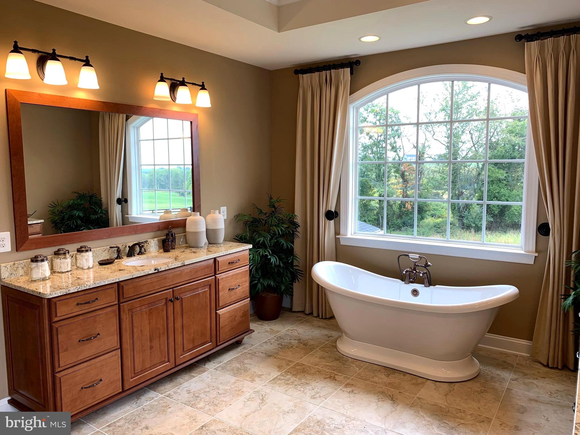 18293 Wild Raspberry Drive Purcellville, VA 20132 - Photo 22 of 46 Owner's bath with dual vanities