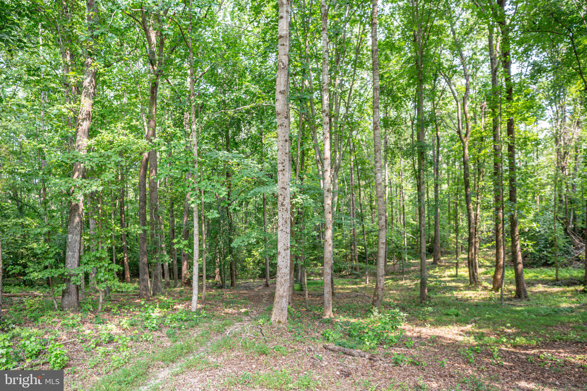 2122 Belle Meade Road Bumpass, VA 23024 - Photo 8 of 49 Gallery Image 8