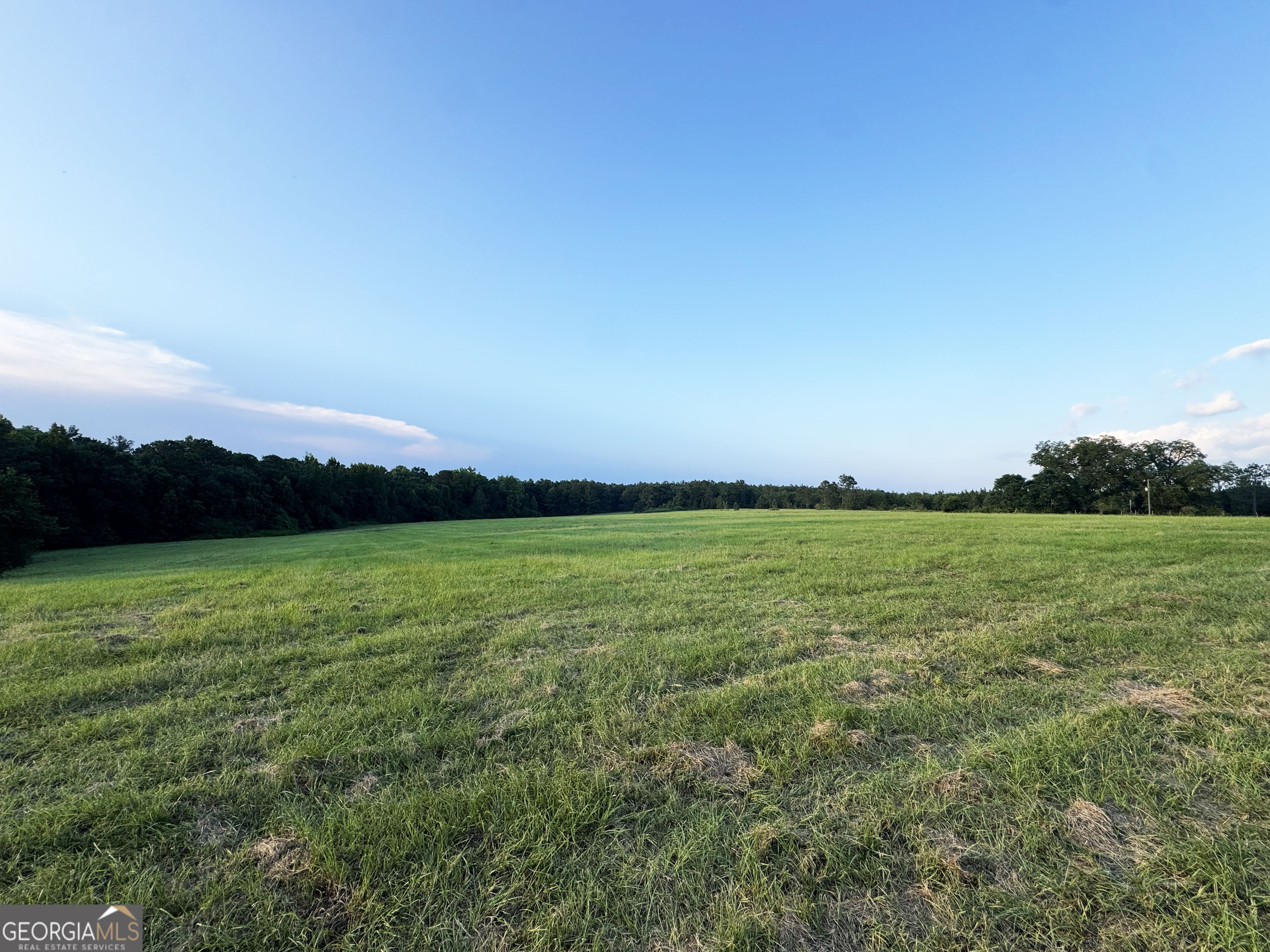 Tbd Tbd Wooten Road Cuthbert, GA 39840 - Photo 49 of 71