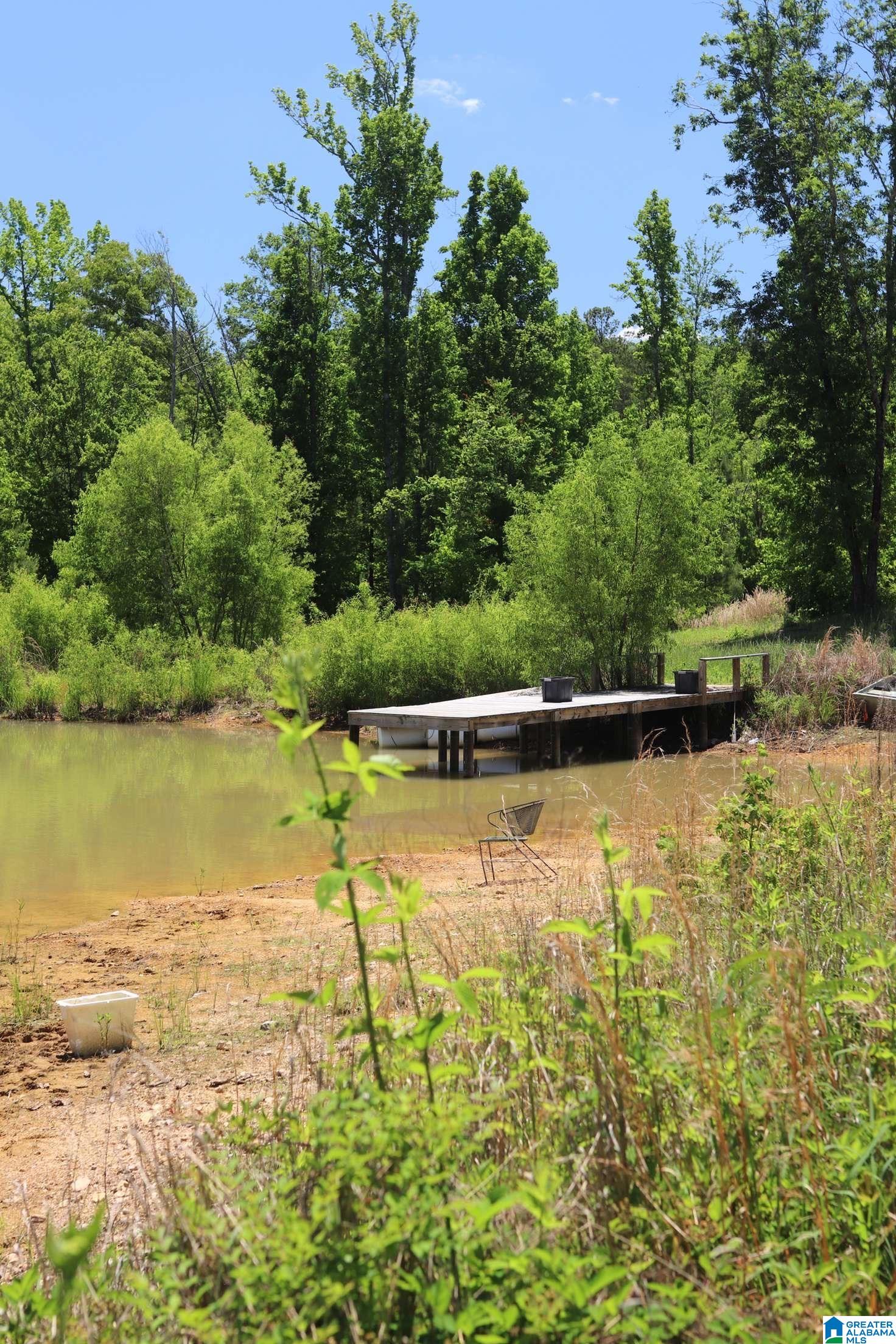 2930 Shocco Springs Road Talladega, AL 35160 - Photo 55 of 93