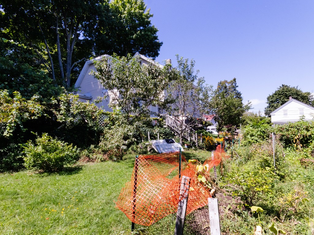 11 Rugdale Road Boston, MA 02124 - Photo 5 of 29 Gallery Image 5