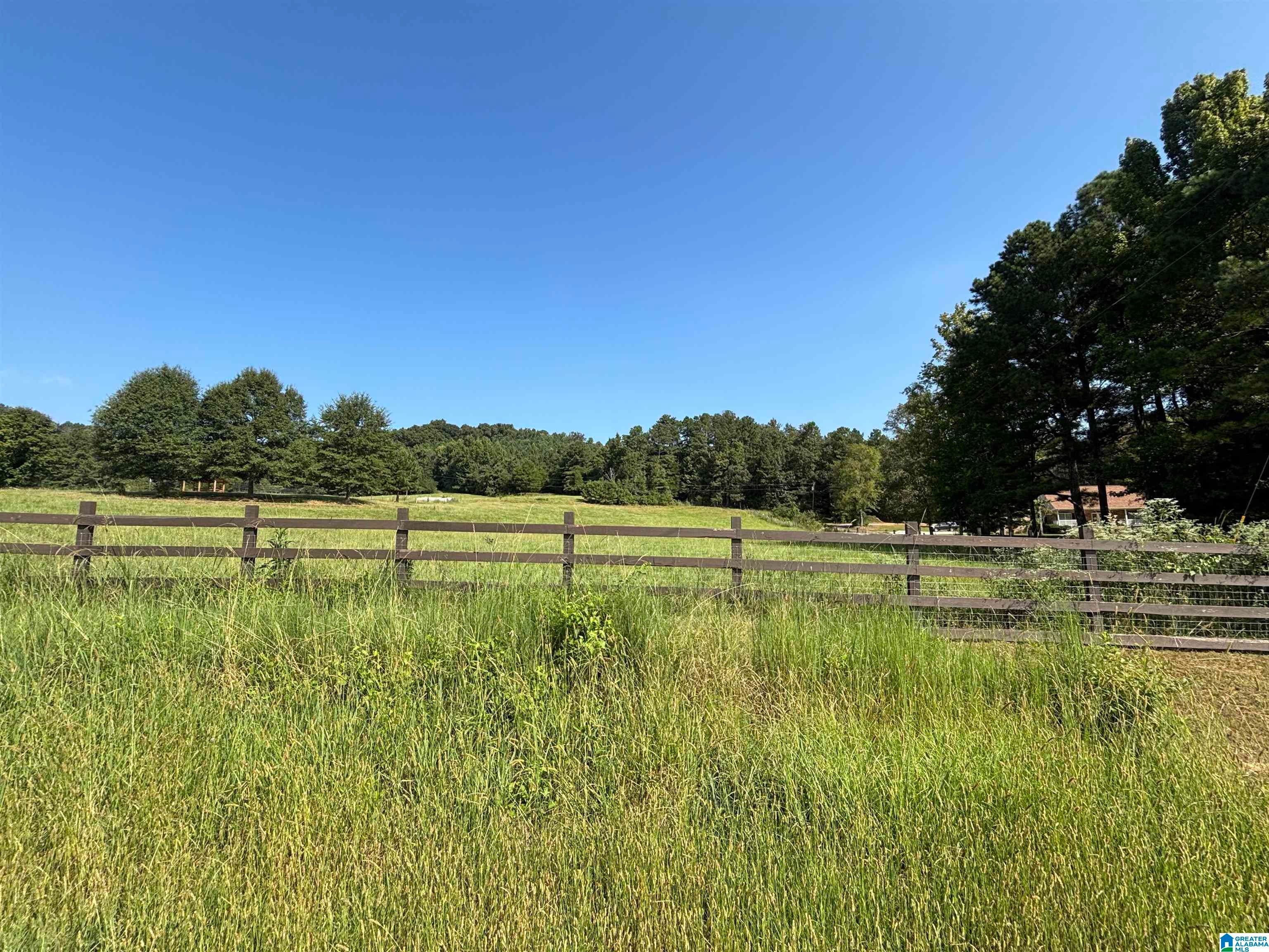 551 Burtram Road Springville, AL 35146 - Photo 18 of 34 Gallery Image 18