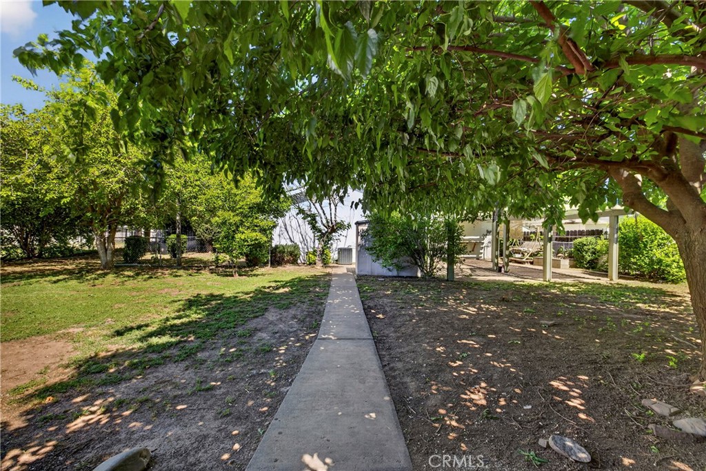 32 Sheldon Avenue Gridley, CA 95948 - Photo 50 of 75 a view of a yard with plants and trees