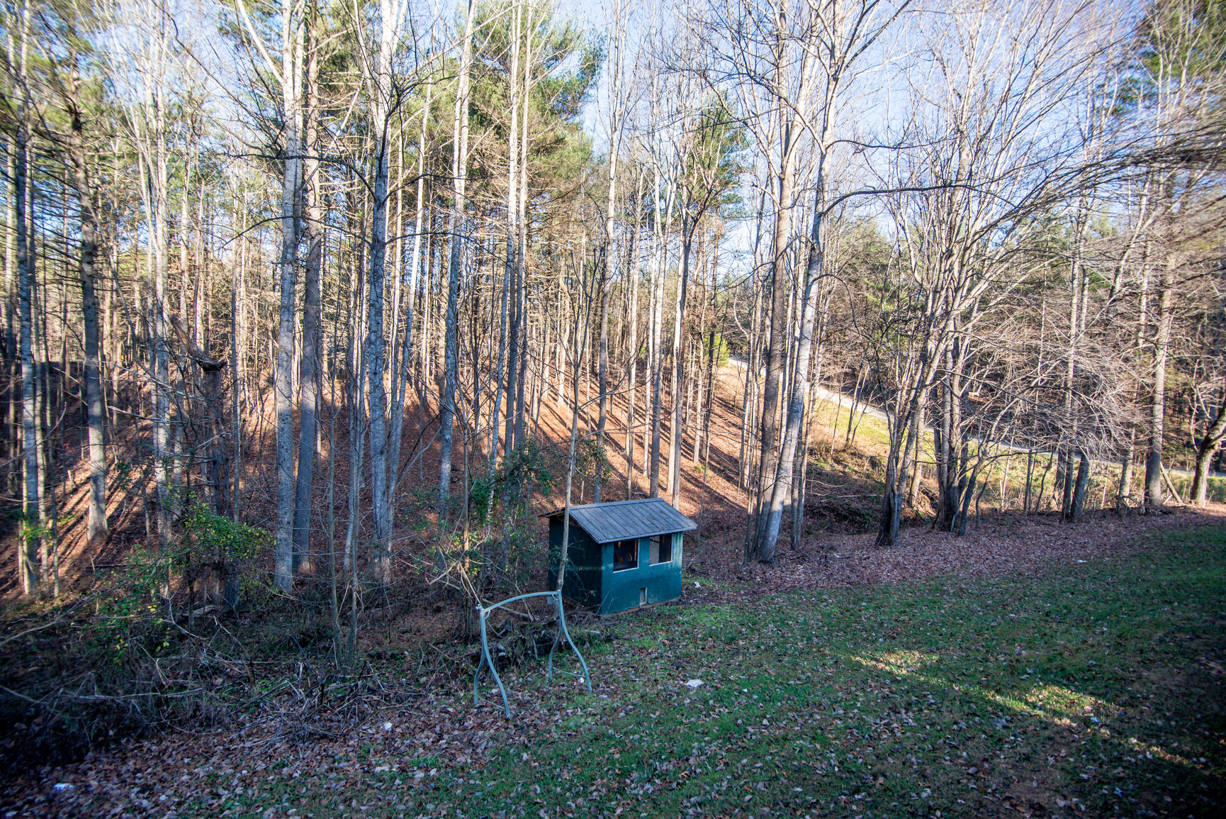 143 Sunset Ridge Road Callaway, VA 24067 - Photo 42 of 42 a view of a backyard with large trees