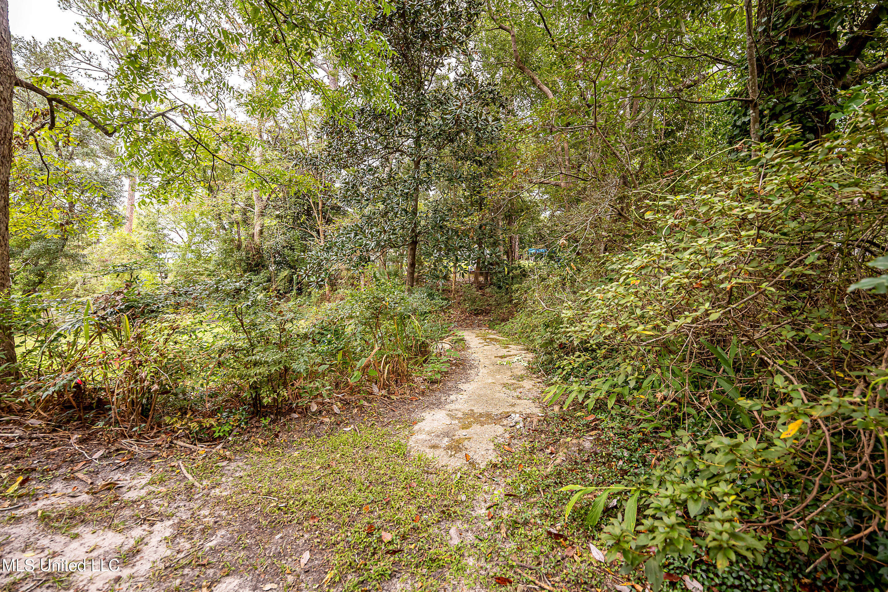 1204 Hill Crest Road Ocean Springs, MS 39564 - Photo 70 of 91 IMG_2101