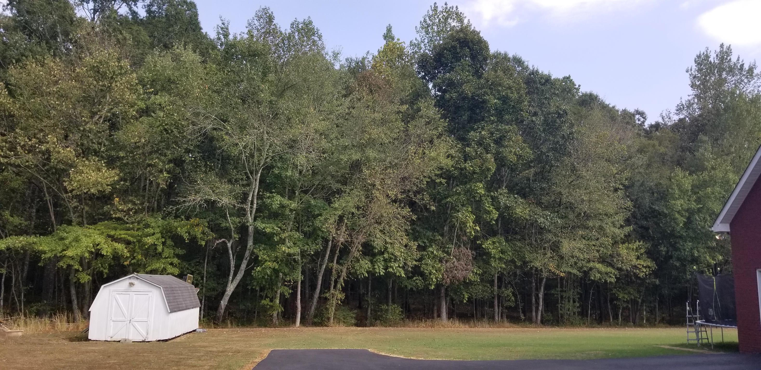 3046 Wayside Road Manchester, TN 37355 - Photo 24 of 30 a view of a park