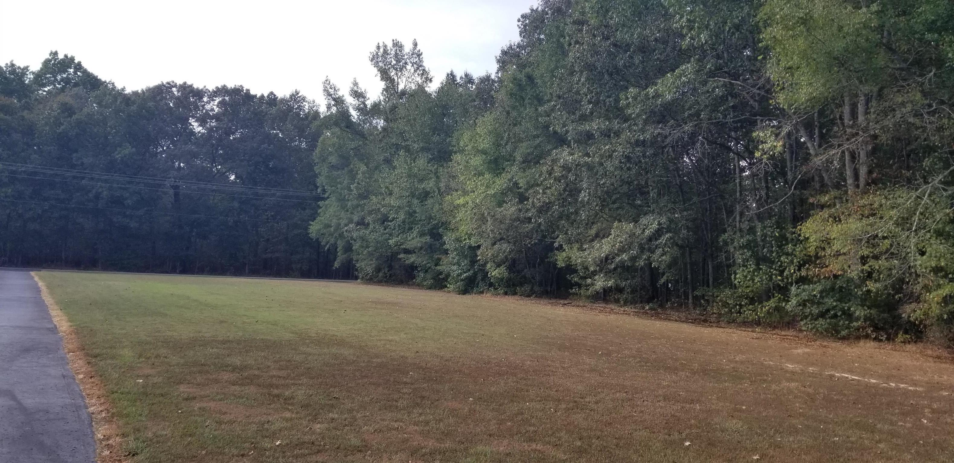 3046 Wayside Road Manchester, TN 37355 - Photo 25 of 30 a view of a backyard of the house