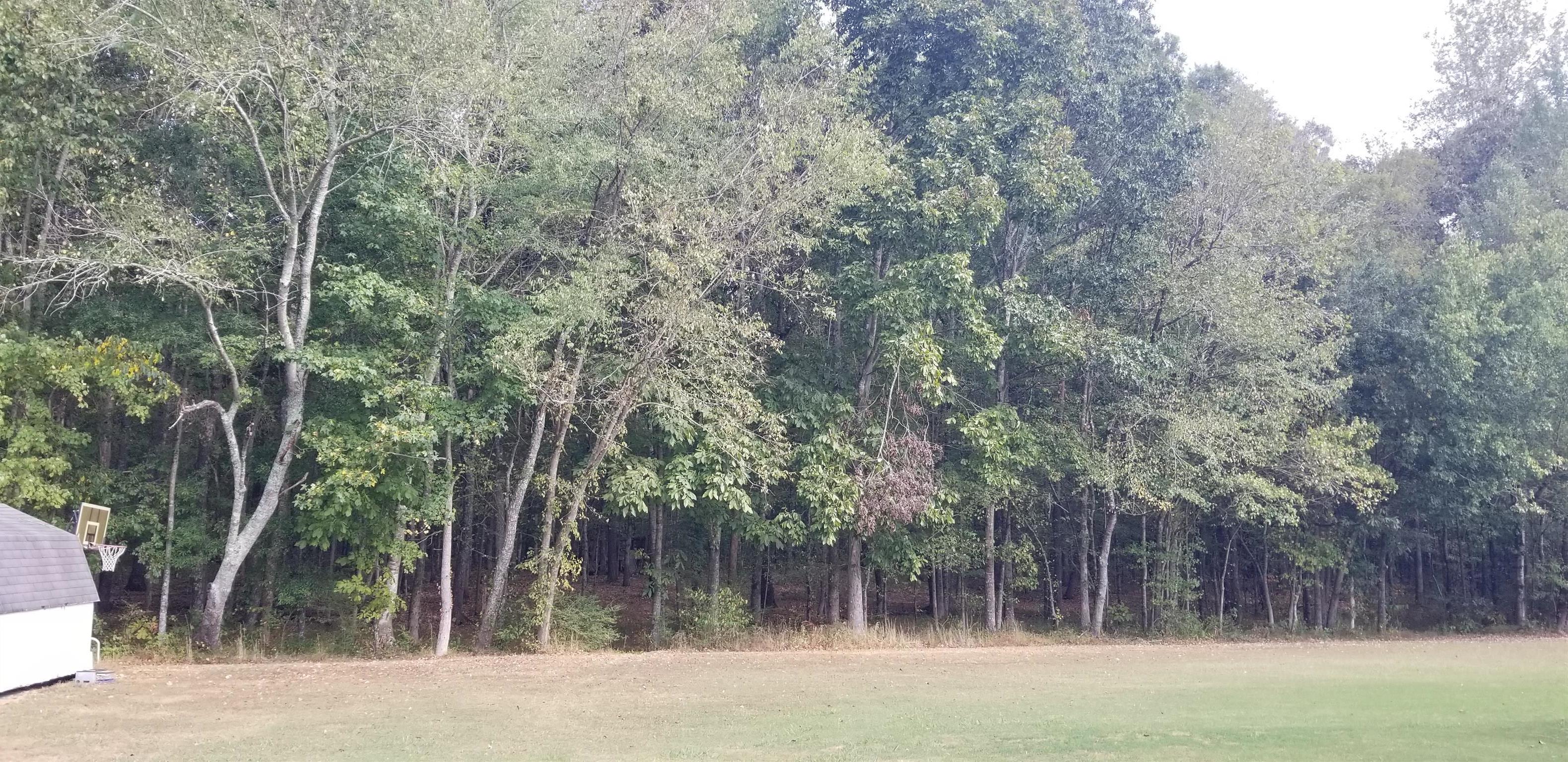 3046 Wayside Road Manchester, TN 37355 - Photo 29 of 30 a backyard of a house with lots of trees
