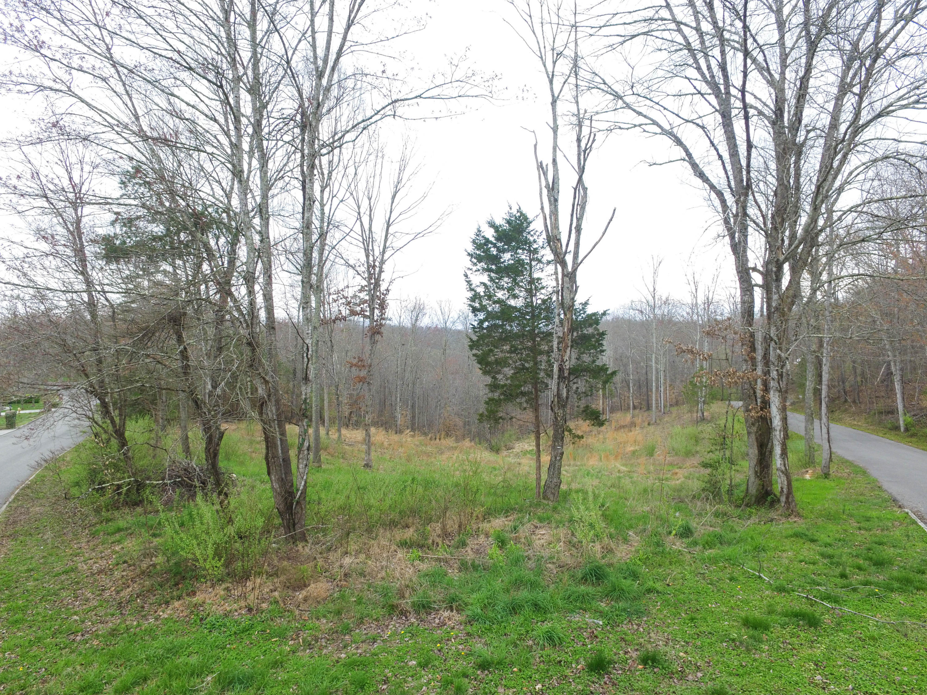 Timberland Trail Rocky Top, TN 37769 - Photo 4 of 9 DJI_0003