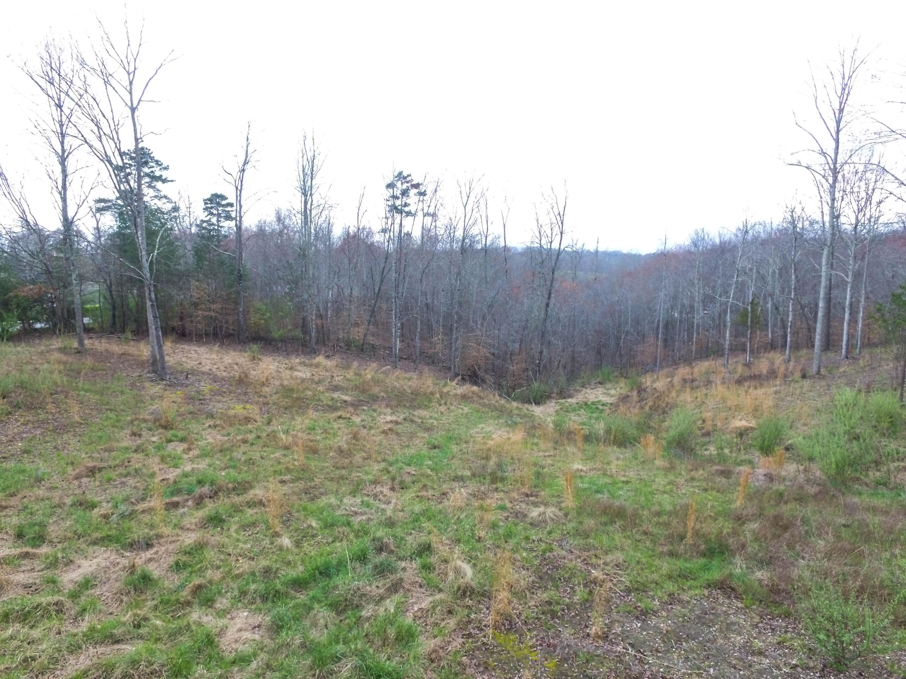 Timberland Trail Rocky Top, TN 37769 - Photo 5 of 9 DJI_0004