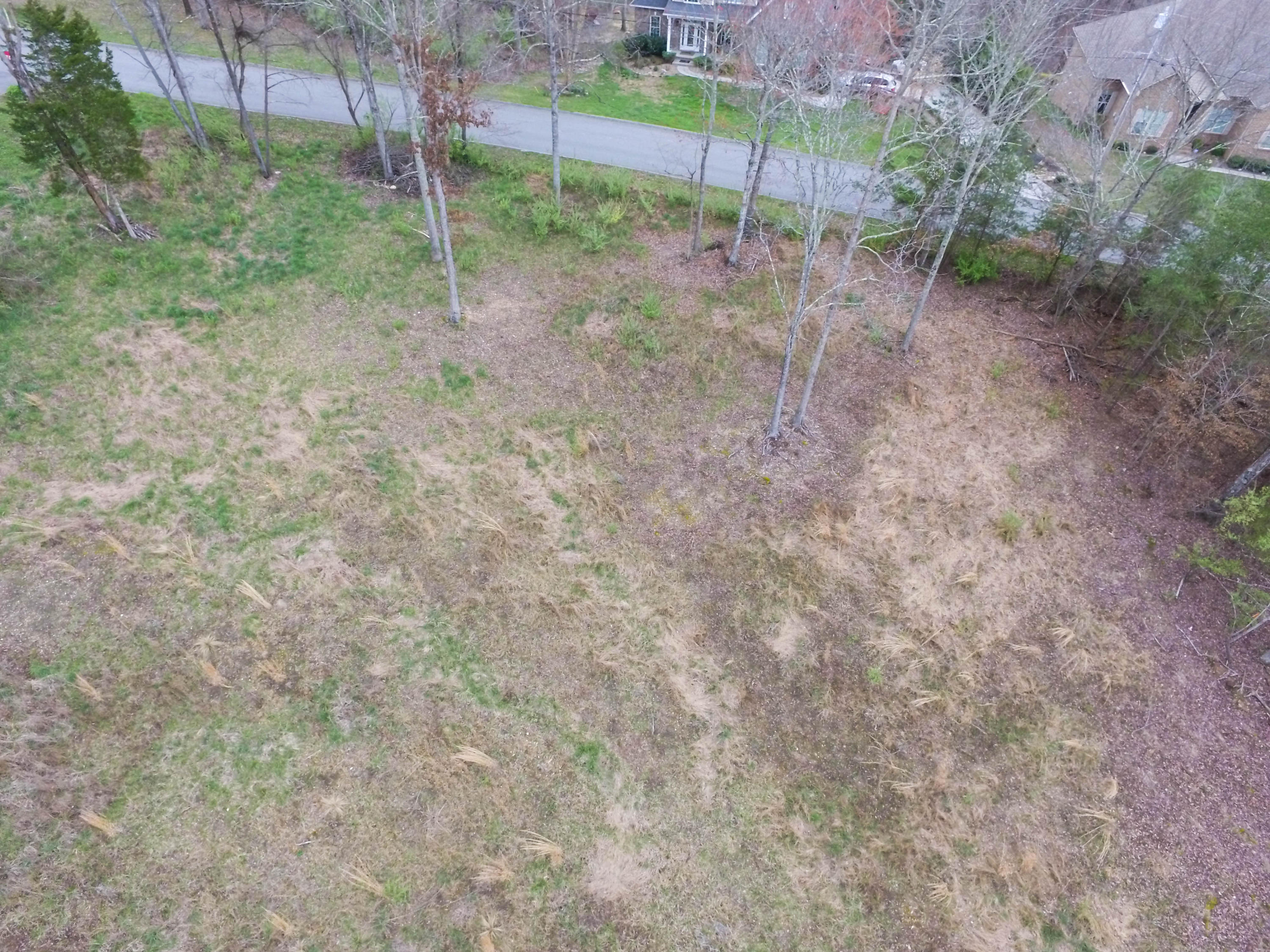 Timberland Trail Rocky Top, TN 37769 - Photo 7 of 9 DJI_0007