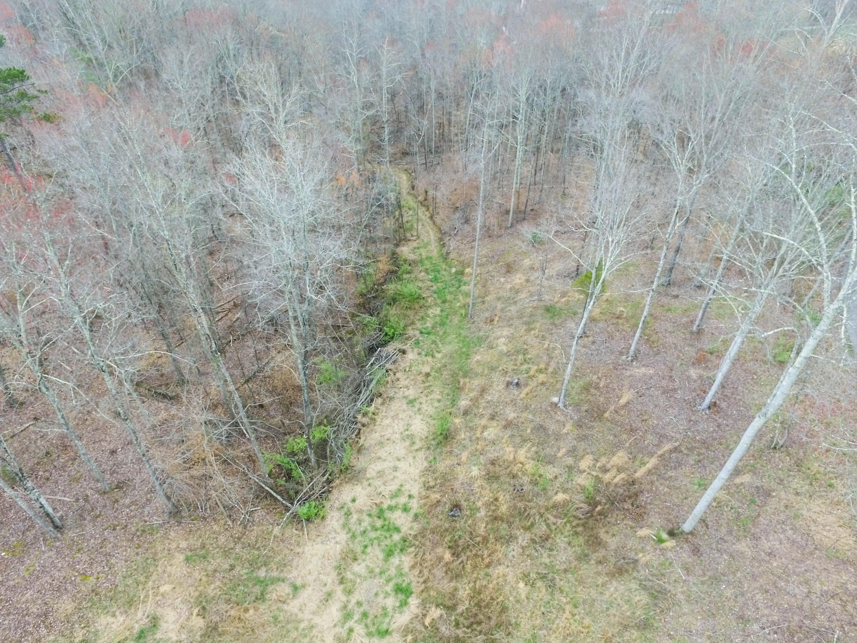 Timberland Trail Rocky Top, TN 37769 - Photo 8 of 9 DJI_0008