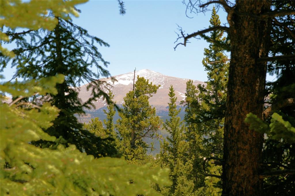 271 Porcupine Road Fairplay, CO 80440 - Photo 19 of 27 Gallery Image 19