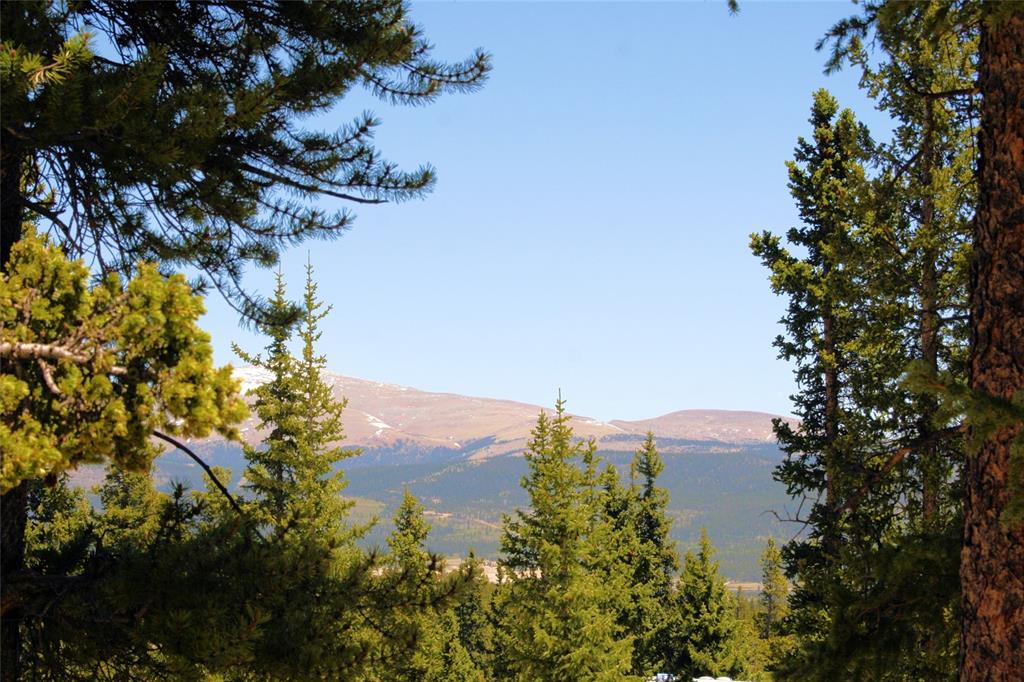 271 Porcupine Road Fairplay, CO 80440 - Photo 20 of 27 Gallery Image 20
