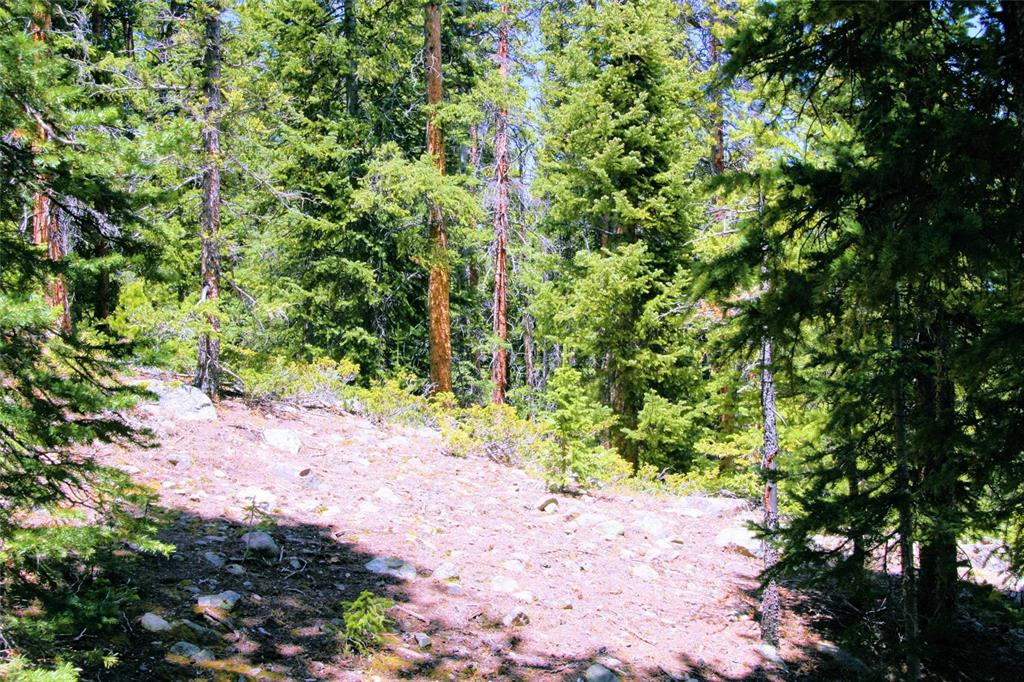 271 Porcupine Road Fairplay, CO 80440 - Photo 22 of 27 Gallery Image 22