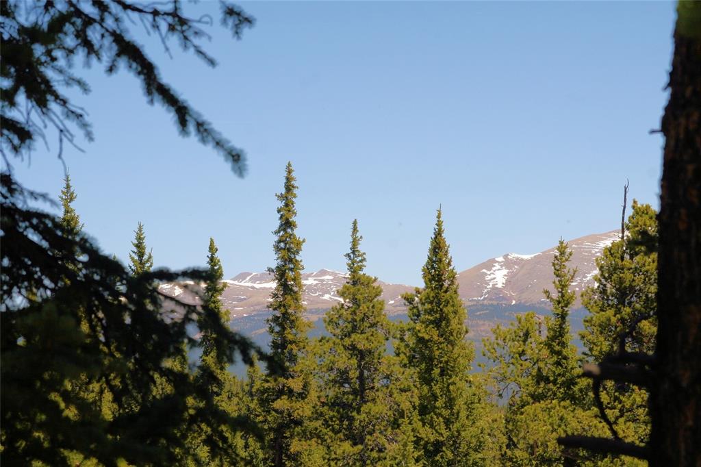 271 Porcupine Road Fairplay, CO 80440 - Photo 3 of 27 Gallery Image 3
