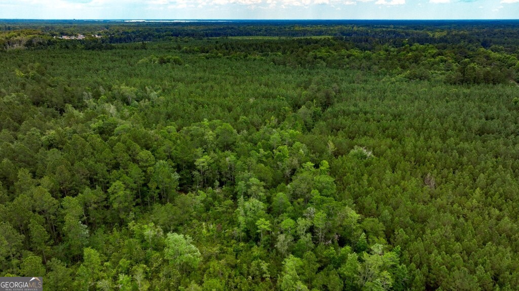 0 Highway 204 & Carlos Cowart Road Pembroke, GA 31321 - Photo 10 of 47