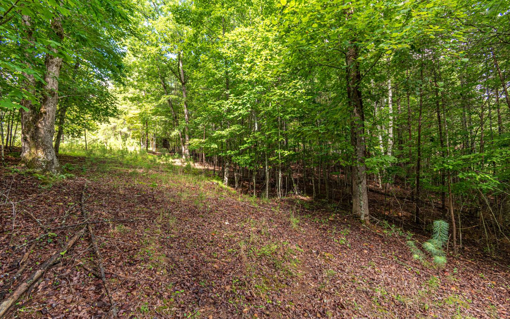 2.25 A Echo Road Morganton, GA 30560 - Photo 12 of 32 Additional View