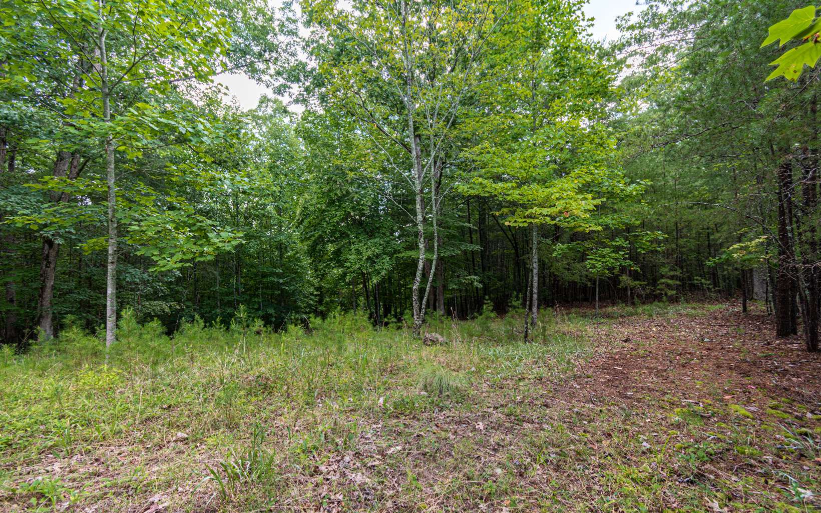 2.25 A Echo Road Morganton, GA 30560 - Photo 16 of 32 Additional View