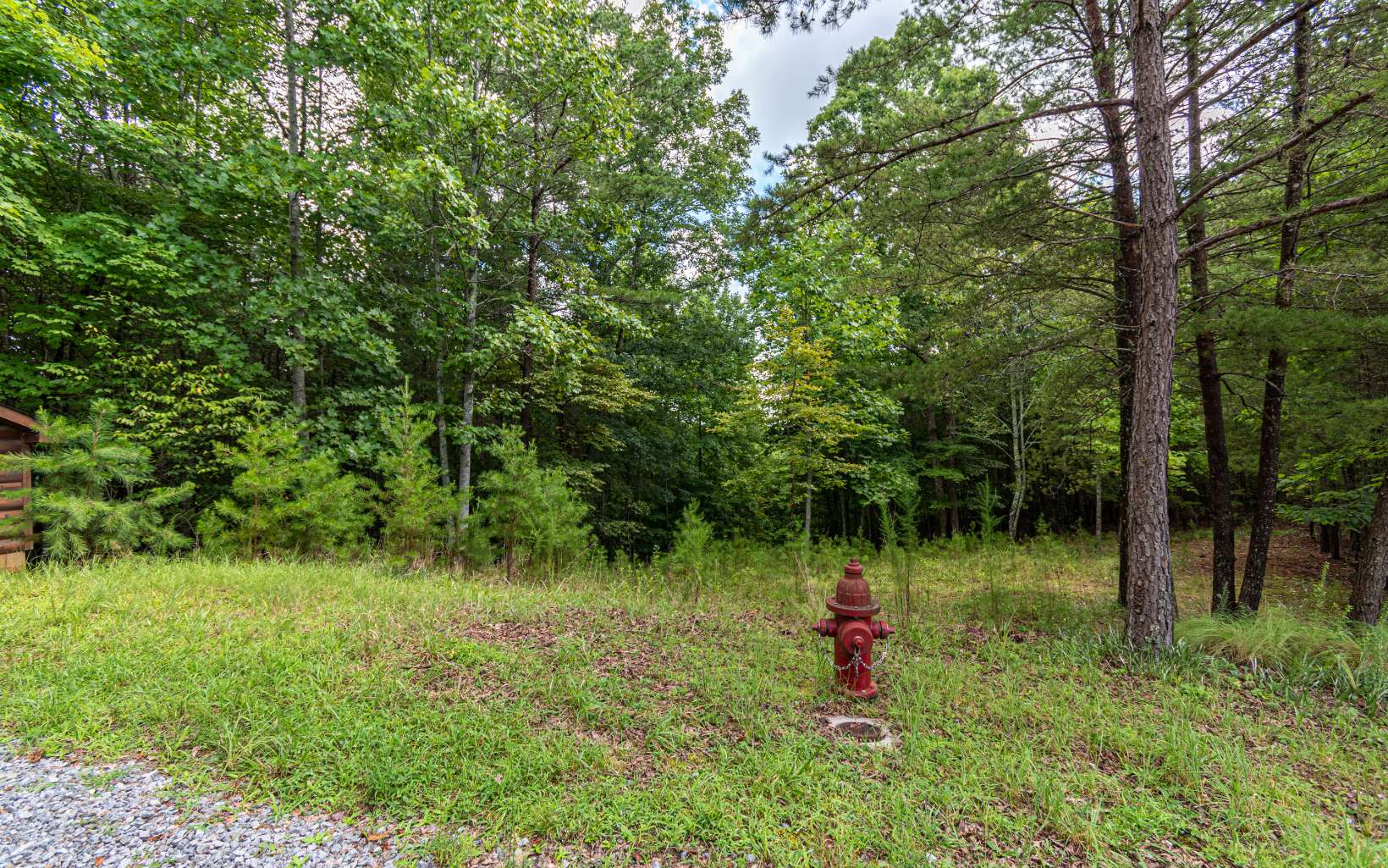 2.25 A Echo Road Morganton, GA 30560 - Photo 7 of 32 Additional View