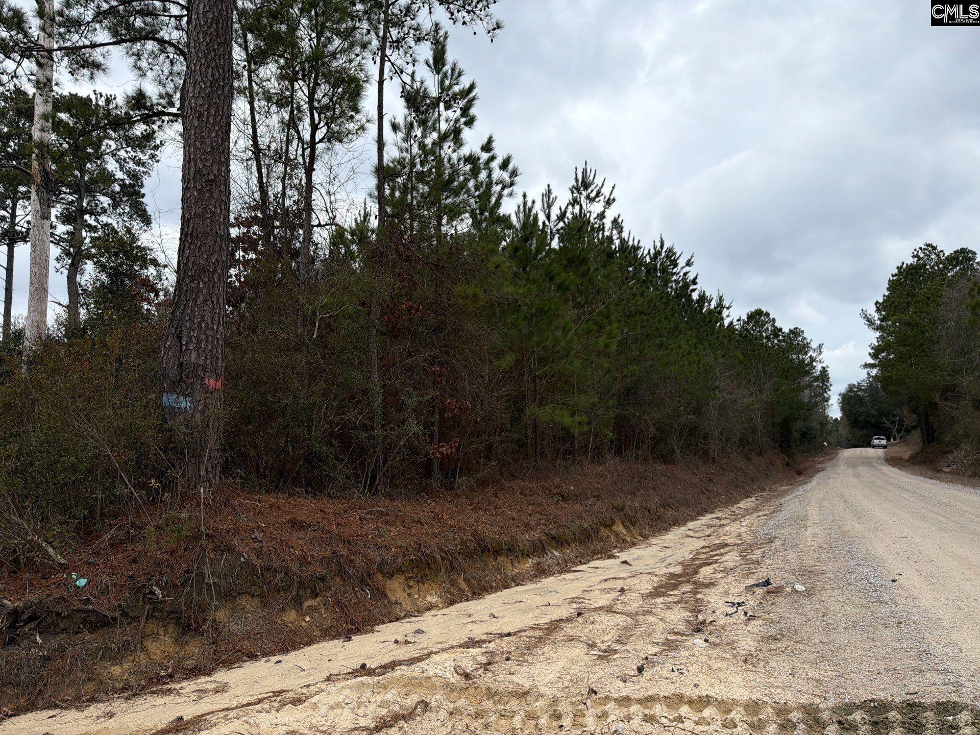 2 Jc Barefoot Road, Unit BFF II 2 Patrick, SC 29584 - Photo 13 of 13
