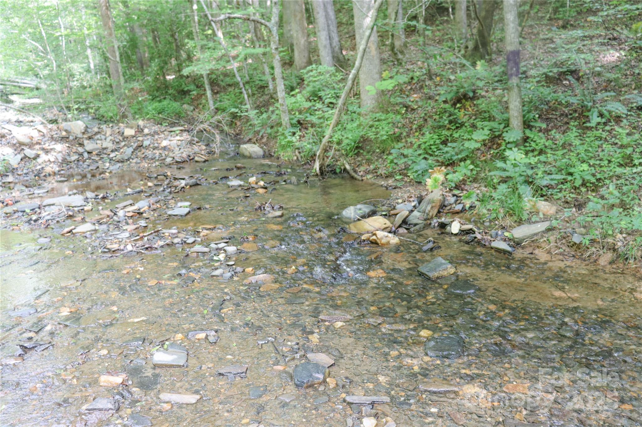 459 Old Yellow Mountain Road Marion, NC 28752 - Photo 26 of 28 a plant view in yard