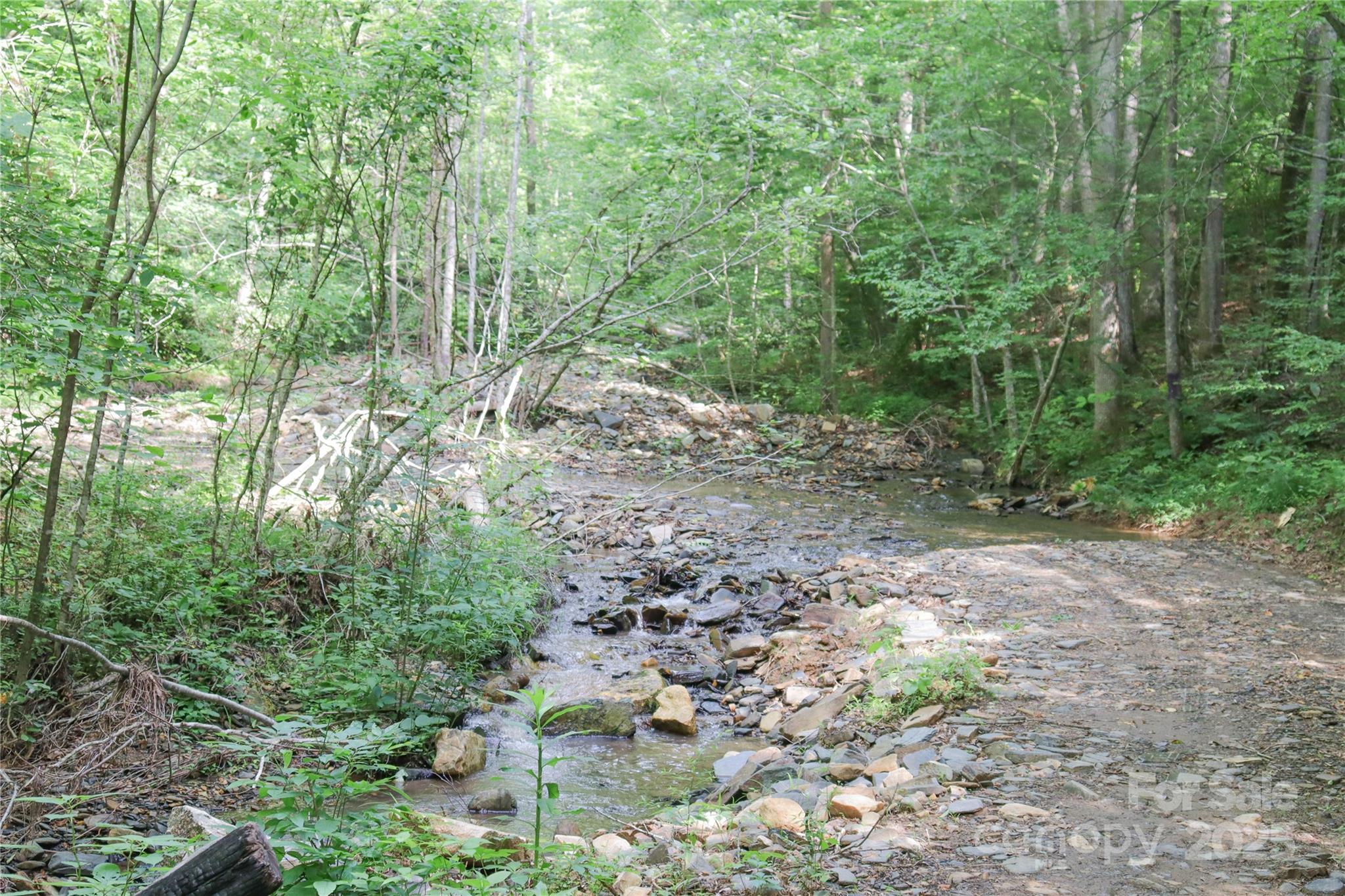 459 Old Yellow Mountain Road Marion, NC 28752 - Photo 27 of 28 a view of a forest with trees in the background