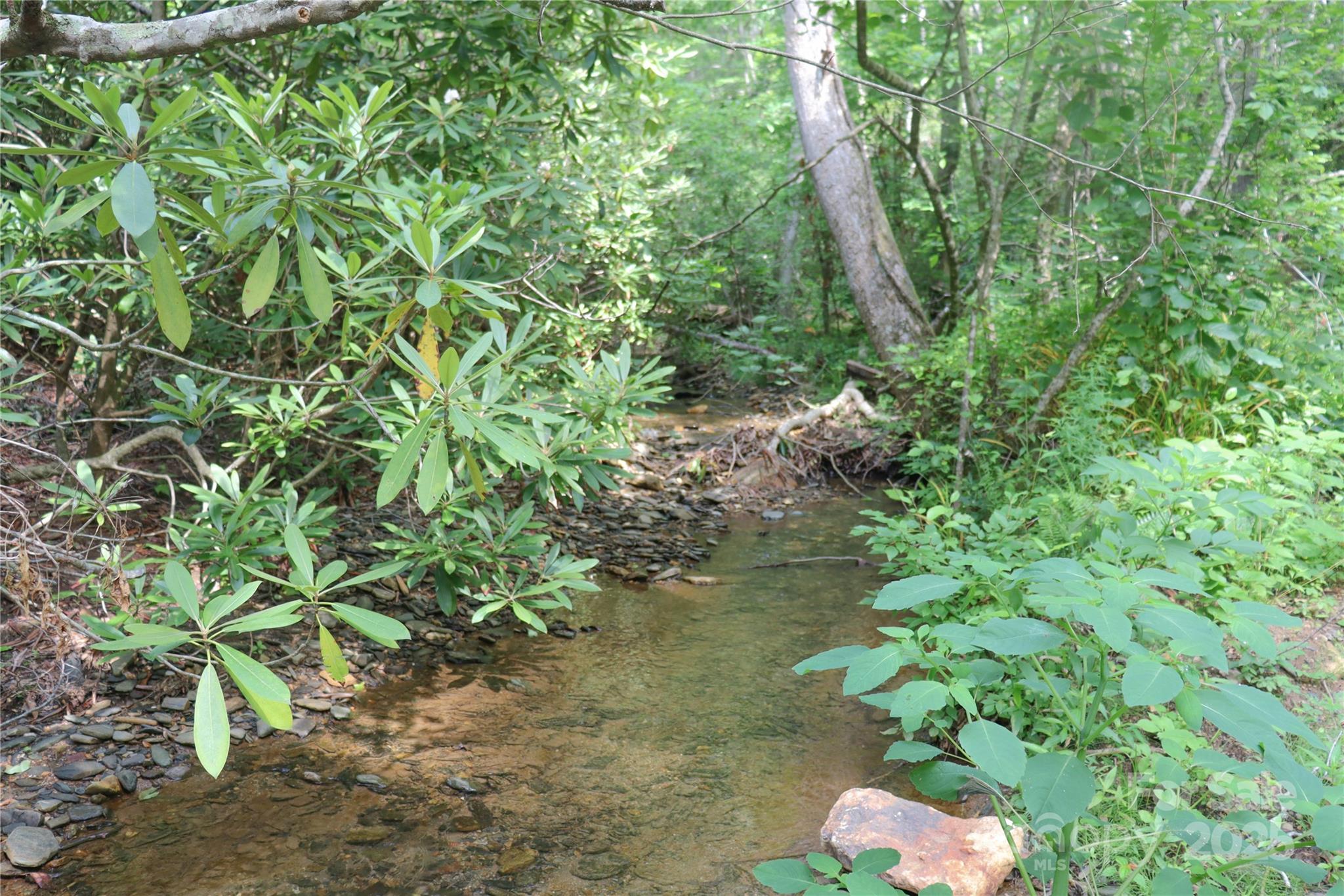 459 Old Yellow Mountain Road Marion, NC 28752 - Photo 6 of 28 a backyard of a house with lots of green space