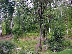 140 Old Street Road Peterborough, NH 03458 - Photo 6 of 8 Gallery Image 6