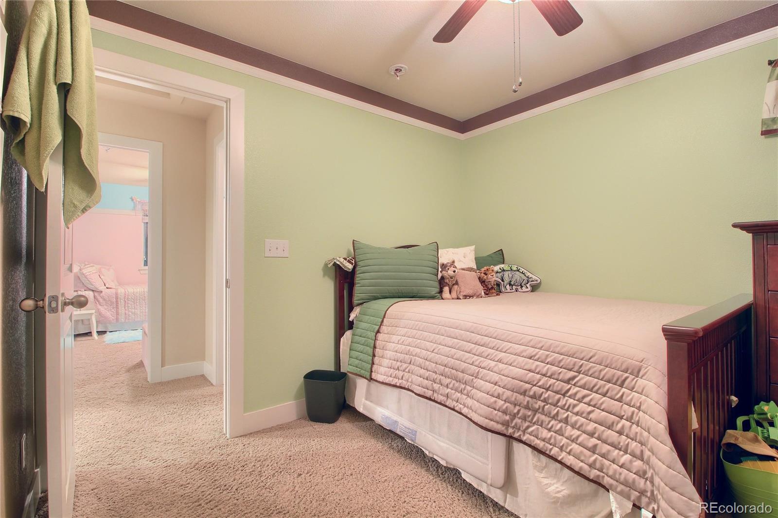 10529 Rutledge Street Parker, CO 80134 - Photo 25 of 34 Gallery Image 25