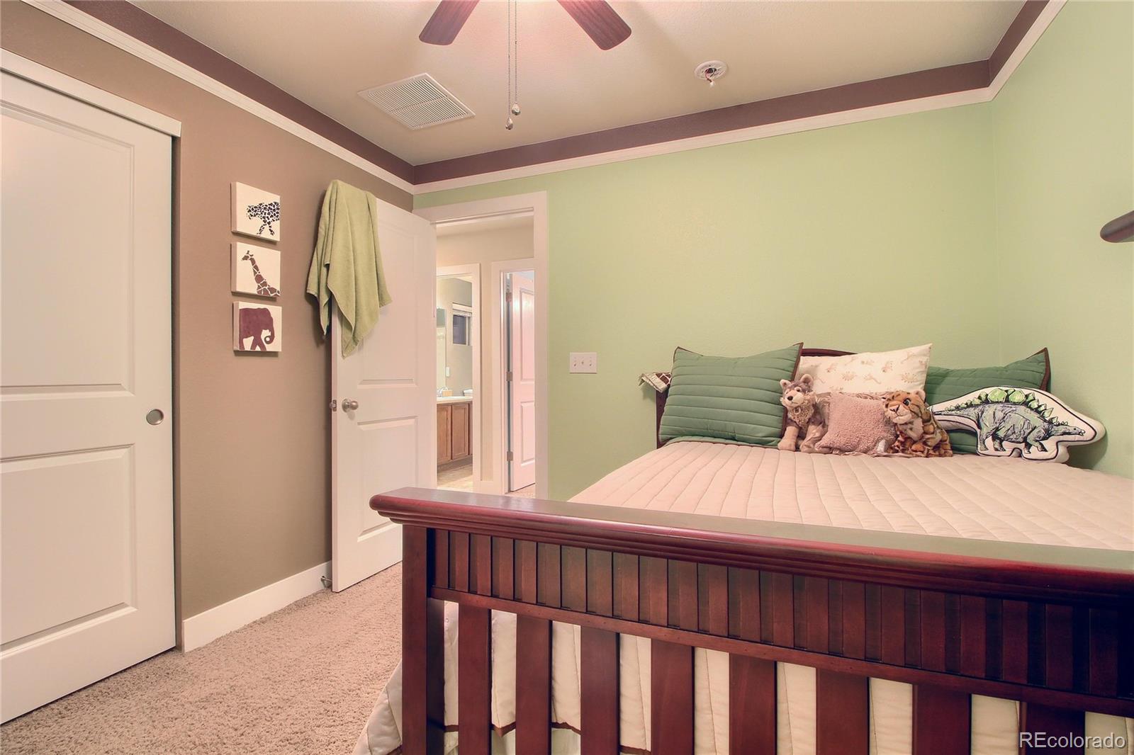 10529 Rutledge Street Parker, CO 80134 - Photo 26 of 34 Gallery Image 26
