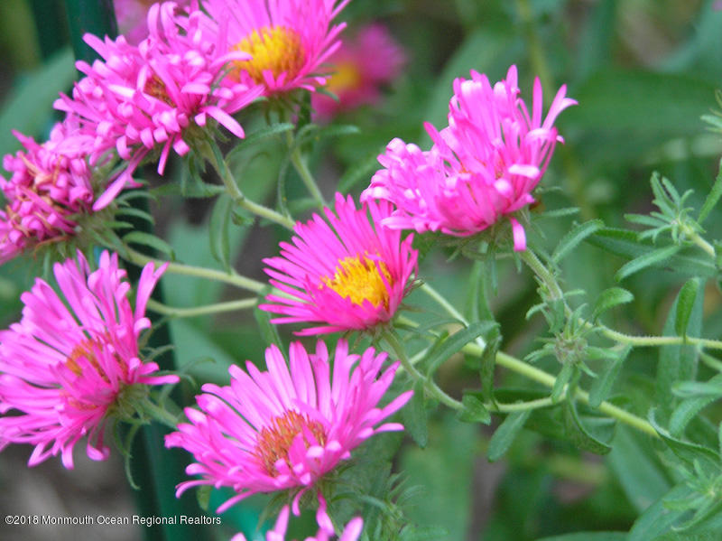 108 Portland Road Middletown, NJ 07716 - Photo 68 of 79 asters