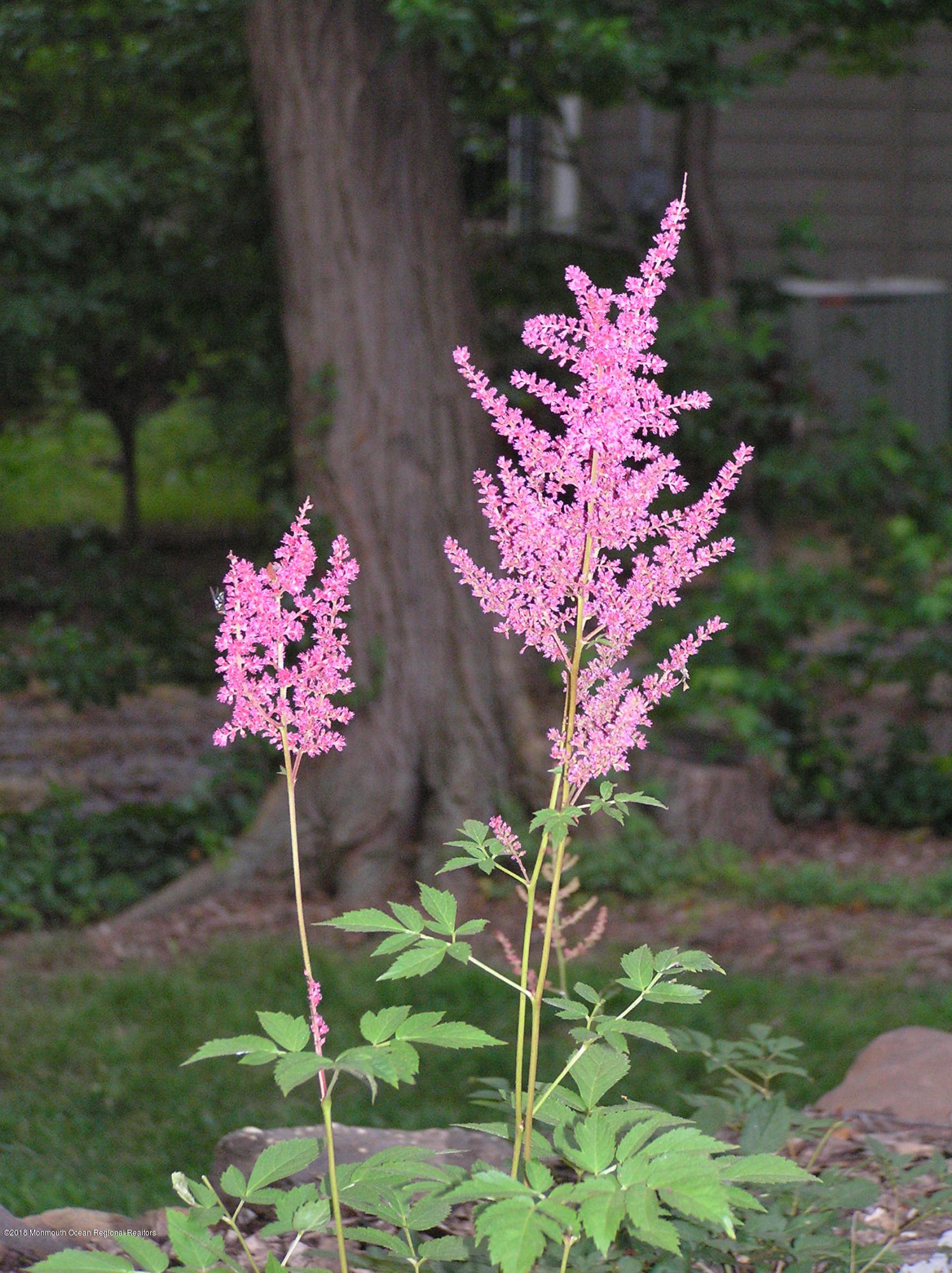 108 Portland Road Middletown, NJ 07716 - Photo 73 of 79 P6250118