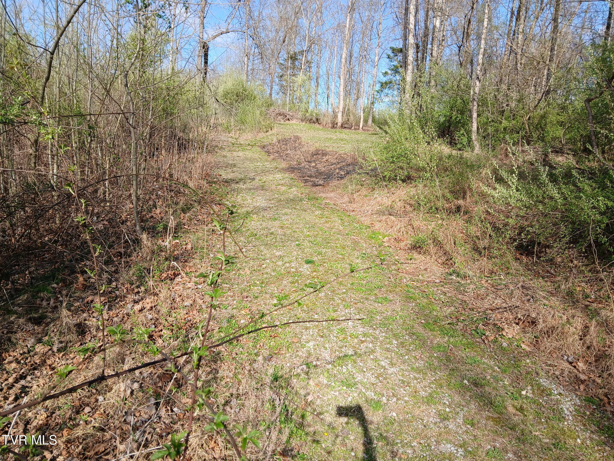 4314 Big Hill Road Pennington Gap, VA 24277 - Photo 9 of 35 1000003289