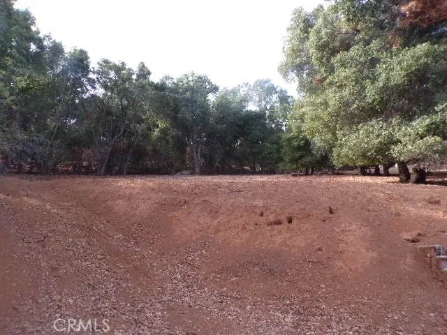 a view of outdoor space with trees