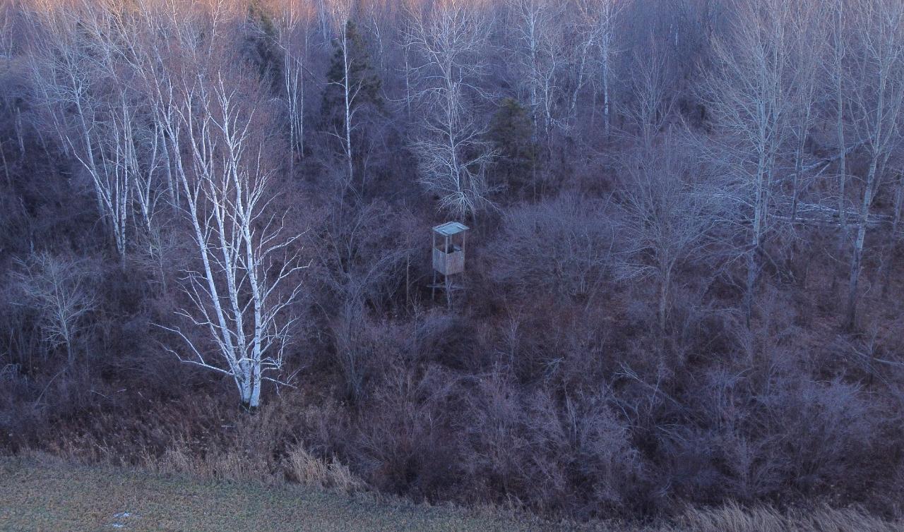 N3806 Walnut Road Kennan, WI 54537 - Photo 34 of 39 Gallery Image 34