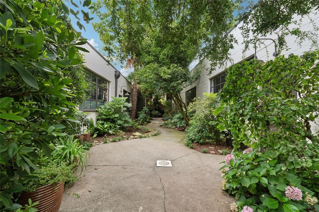 830 DeKalb Avenue Northeast, Unit 11 Atlanta, GA 30307 - Photo 2 of 37 a view of a garden with plants