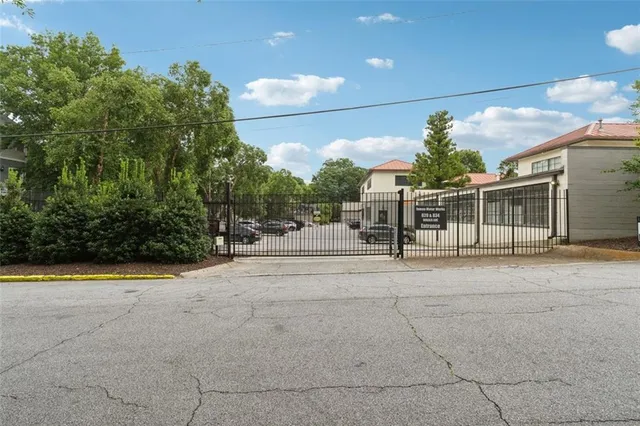 a view of a backyard with plants and palm trees