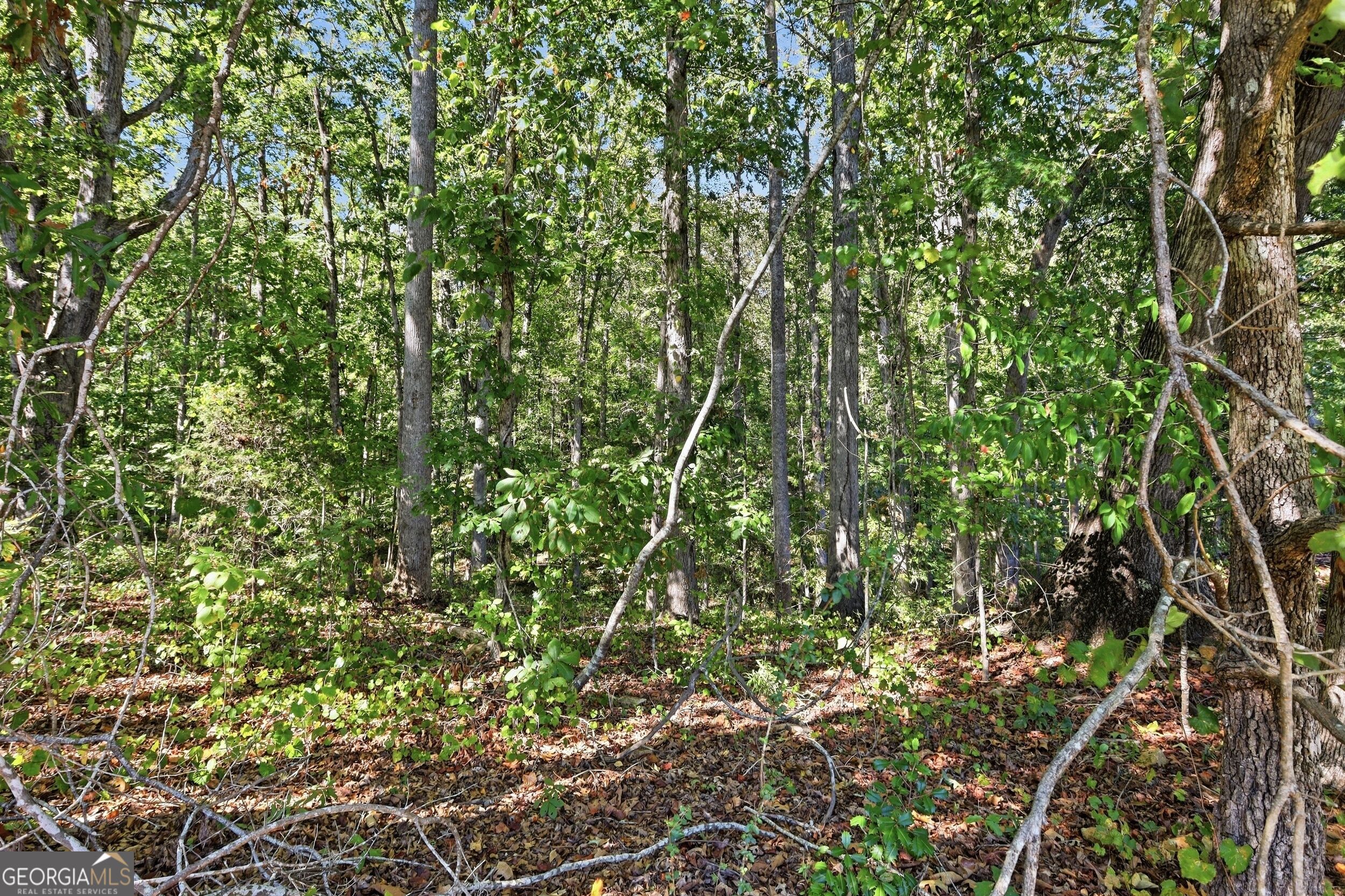 2375 East Silver Shoals Road, Unit TRACT 2 Toccoa, GA 30577 - Photo 8 of 9 Gallery Image 8