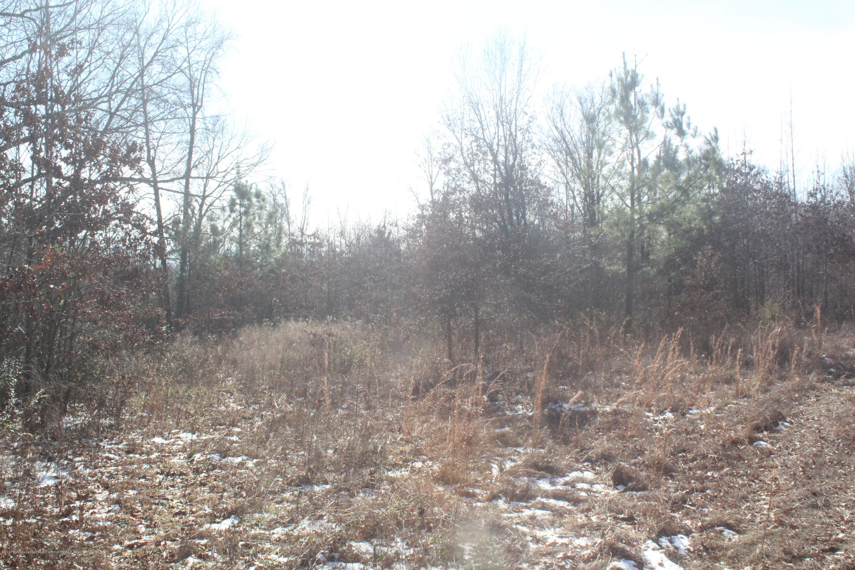 3 Tulane Rd Lake Nesbit, MS 38651 - Photo 12 of 31 018