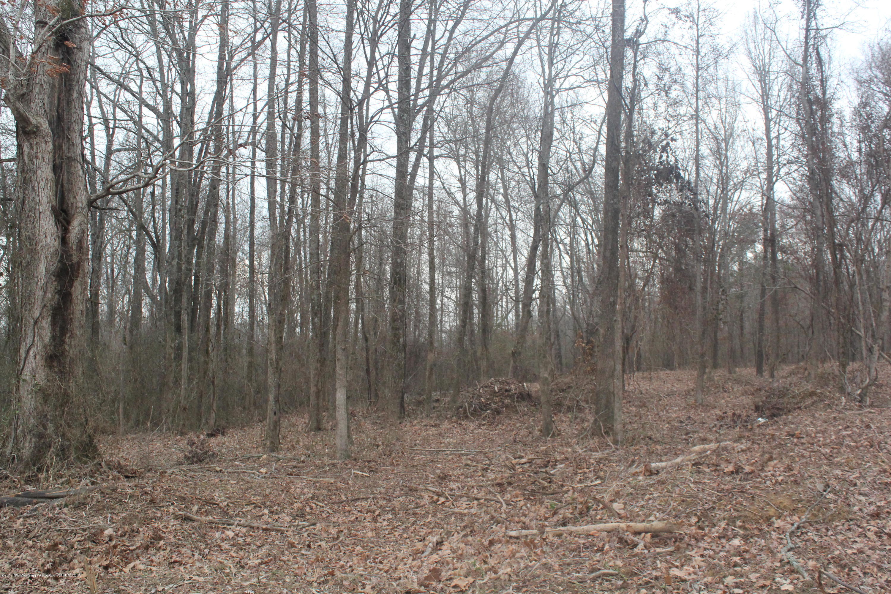 3 Tulane Rd Lake Nesbit, MS 38651 - Photo 16 of 31 030