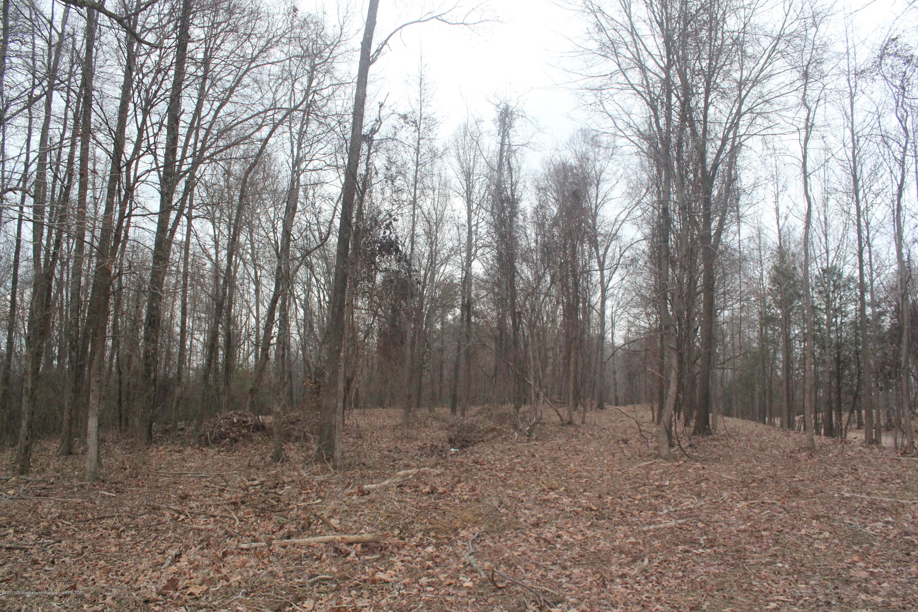 3 Tulane Rd Lake Nesbit, MS 38651 - Photo 17 of 31 031
